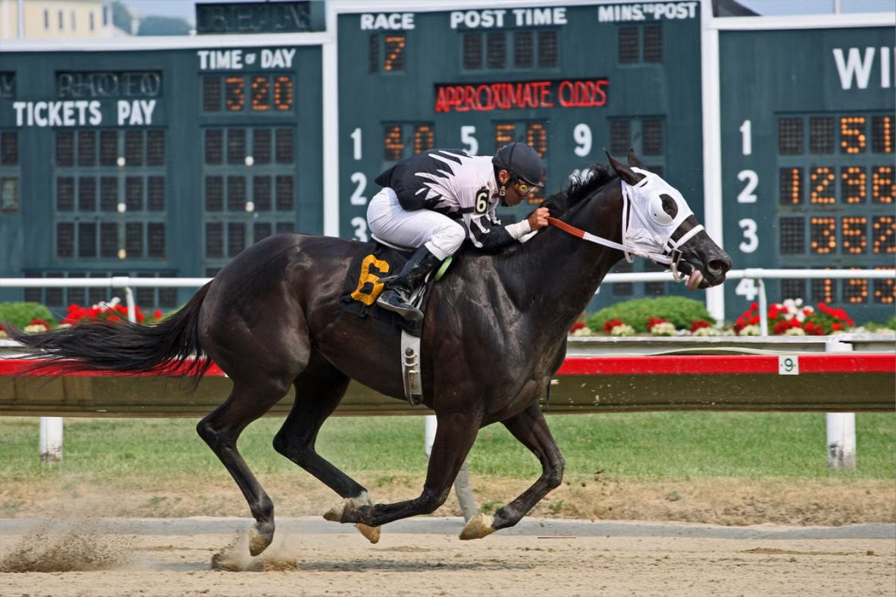 sports_betting