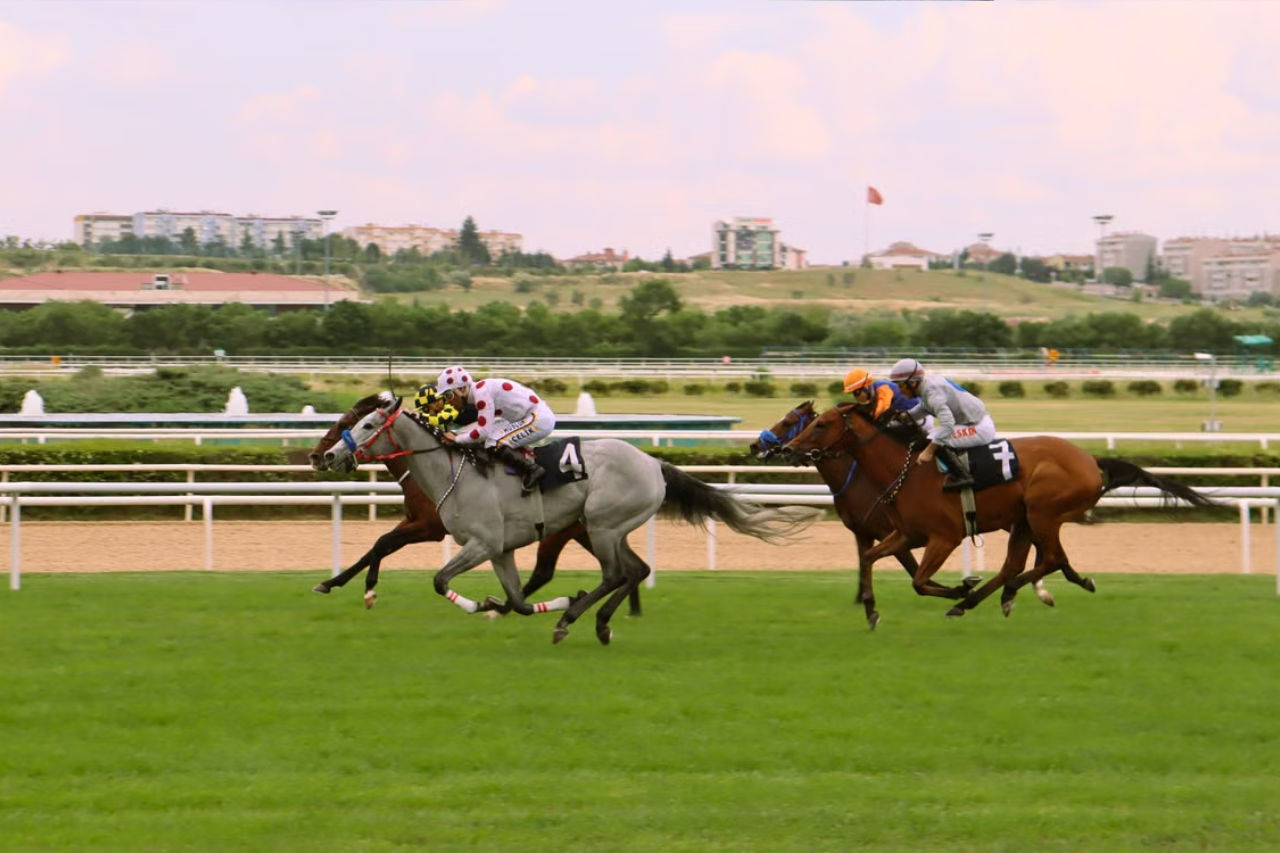 sports_betting0